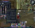 Aion0008divinepauldrons.jpg