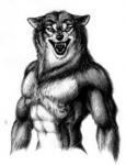 WereWolf-'s Avatar