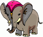 Elegant Elephant's Avatar