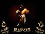 Muay Thai's Avatar