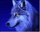 lonewolf2121's Avatar