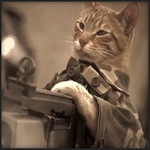 MrMeowmer's Avatar