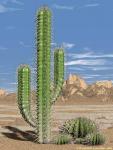 KaktusBoost's Avatar
