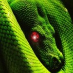 MrCobra's Avatar