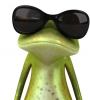 lefroggy's Avatar