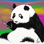 Suicidal Panda's Avatar