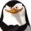 pingvin4's Avatar