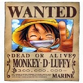 MonkeyD.Luffy's Avatar