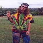 Hippiedown's Avatar