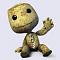 Sackboy77