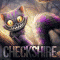 checkshire's Avatar