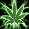 420Stoner420's Avatar