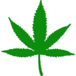 iLoveWeeD's Avatar