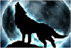 Silv3rwolf38's Avatar
