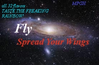 SPREAD THE WINGS o.o