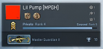 MG2.2.PNG