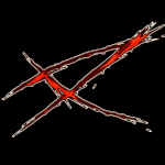 thexviet