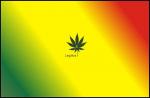 -LgLiiZ_iT-