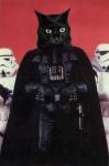 Darth Mrow's Avatar