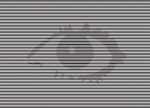 littleweb