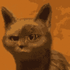topex's Avatar