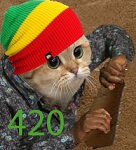 pwnzor532