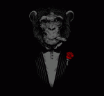 mrWicket