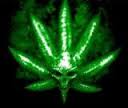Unrealx420