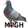 mynameisNOYB