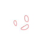 Cryptk