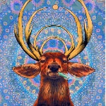 Trippy.