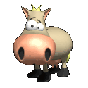 JolleyBoi