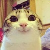 01010100