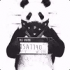 Fr0sster