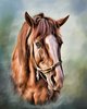 horzE