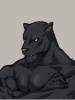 Imperial_Panther