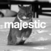 weedcaat