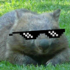 Obese Wombat's Avatar