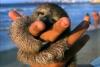 Sloth.