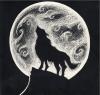 wolf501