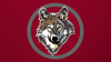 OblivionxWolf
