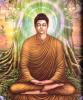 Buddha-'s Avatar