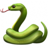 snakeit's Avatar