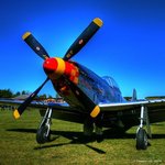 RoyalP51