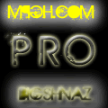 bigshnaz