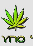 YnoBoss