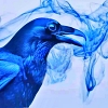 Blue Crow