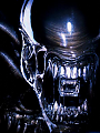 judgedead