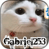 gabriel253