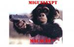 MiguelexPT